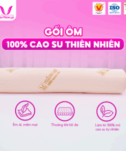 Gối Ôm Cao Su Thiên Nhiên Chính Hãng Thắng Lợi