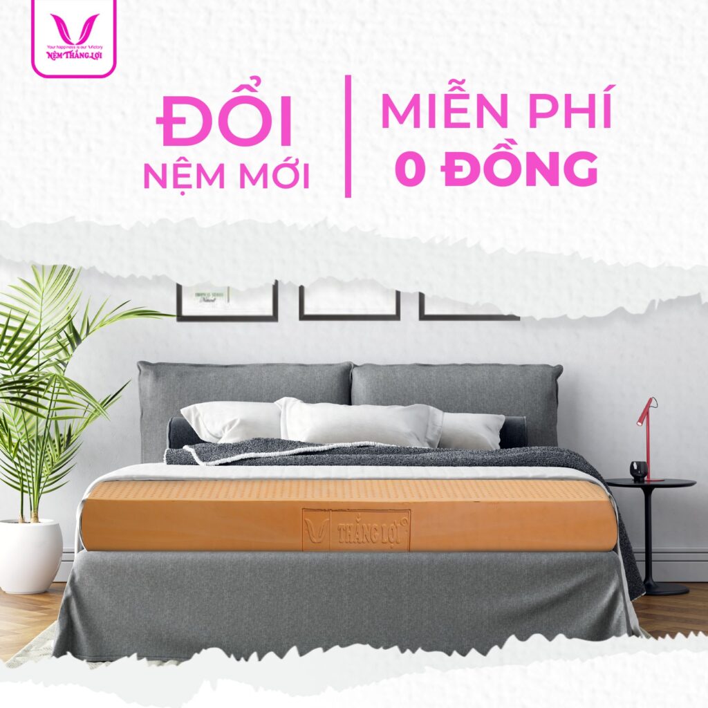 Đổi nệm mới - Miễn phí 0 đồng
