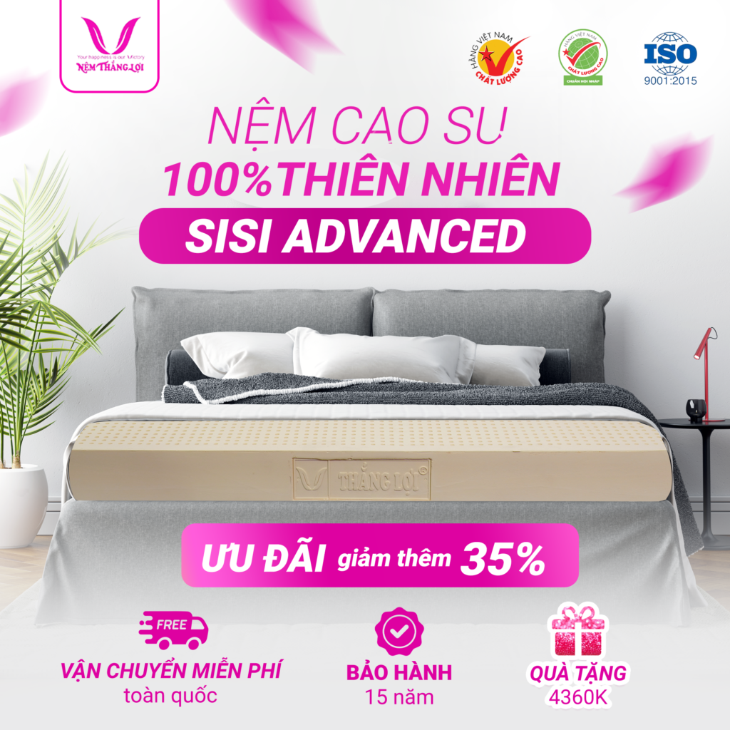 NỆM 100% CAO SU THIÊN NHIÊN THẮNG LỢI SISI - ADVANCED