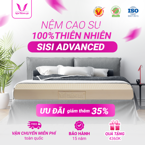 Nệm 100% Cao Su Thiên Nhiên Thắng Lợi SiSi