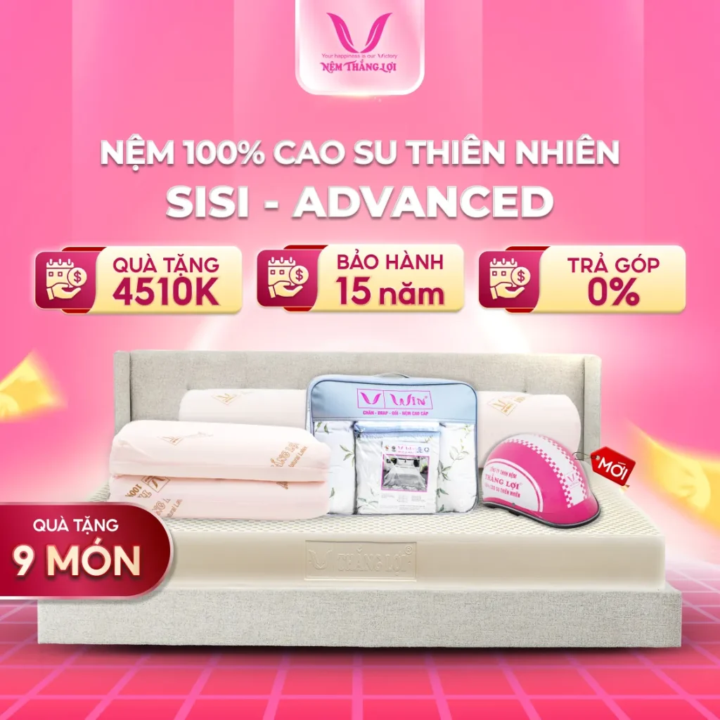 NỆM 100% Cao Su Thiên Nhiên Thắng Lợi SiSi - Advanced