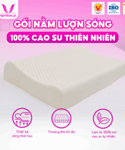 Gối Nằm Lượn Sóng Cao Su Thiên Nhiên Thắng Lợi