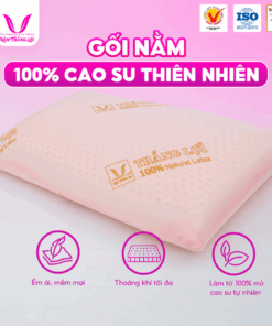 Gối Nằm Oval Cao Su Thiên Nhiên Thắng Lợi