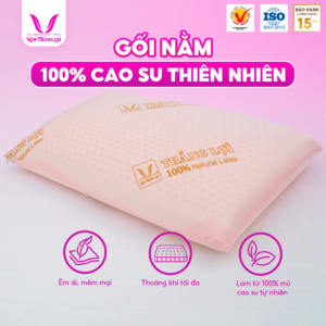 Gối Nằm Oval Cao Su Thiên Nhiên Thắng Lợi