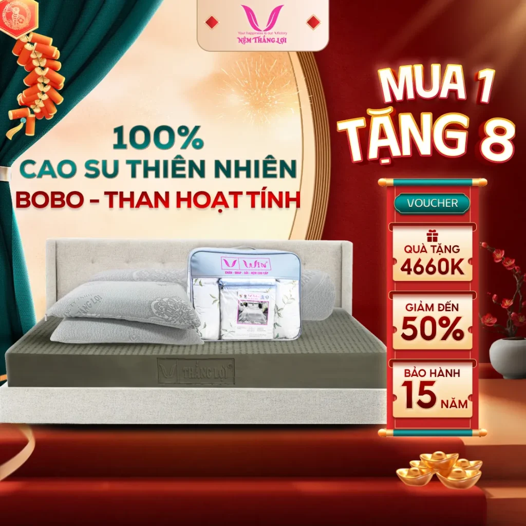NỆM 100% Cao Su Thiên Nhiên Thắng Lợi BoBo - Than Hoạt Tính