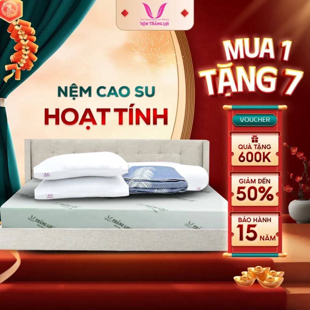 Nệm Cao Su Hoạt Tính Thắng Lợi