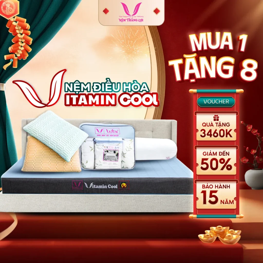 Nệm Điều Hòa Thắng Lợi Vitamin Cool