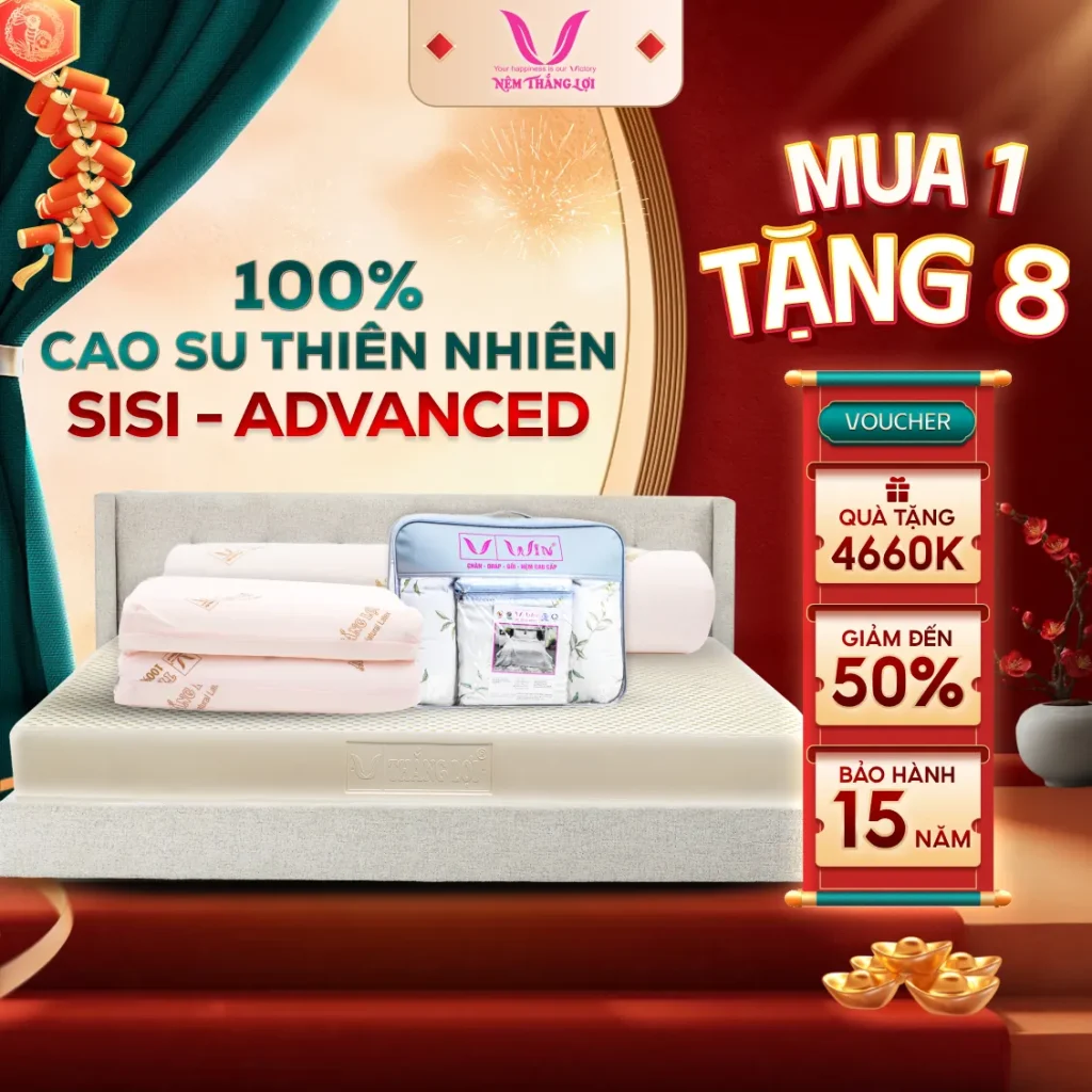 NỆM 100% Cao Su Thiên Nhiên Thắng Lợi SiSi - Advanced