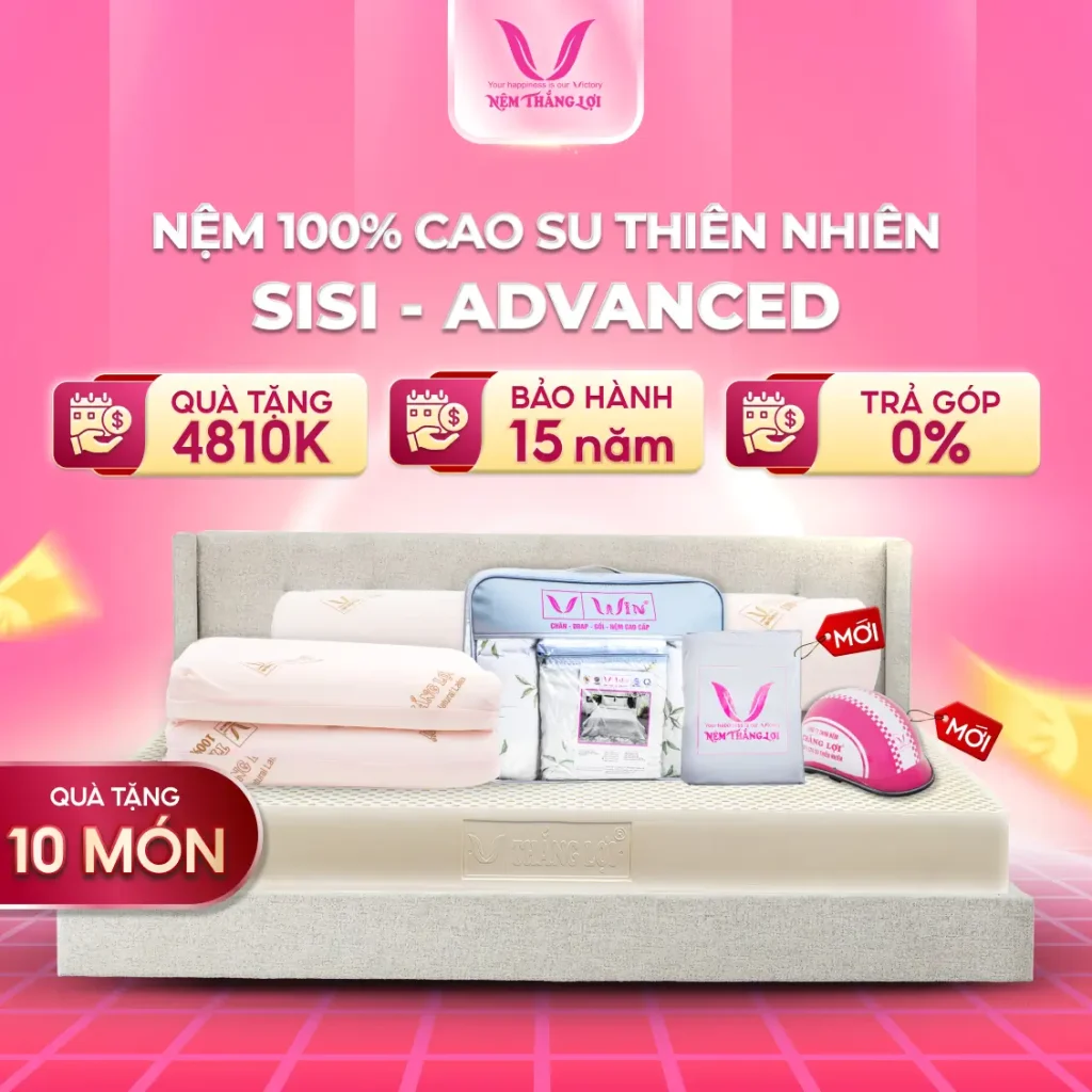 NỆM 100% CAO SU THIÊN NHIÊN THẮNG LỢI SISI - ADVANCED