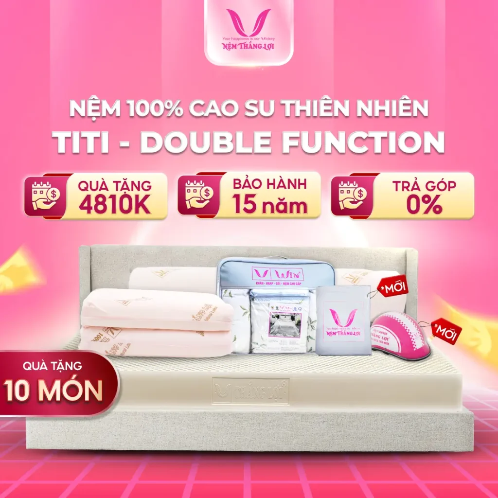 NỆM 100% CAO SU THIÊN NHIÊN THẮNG LỢI TITI - DOUBLE FUNCTION