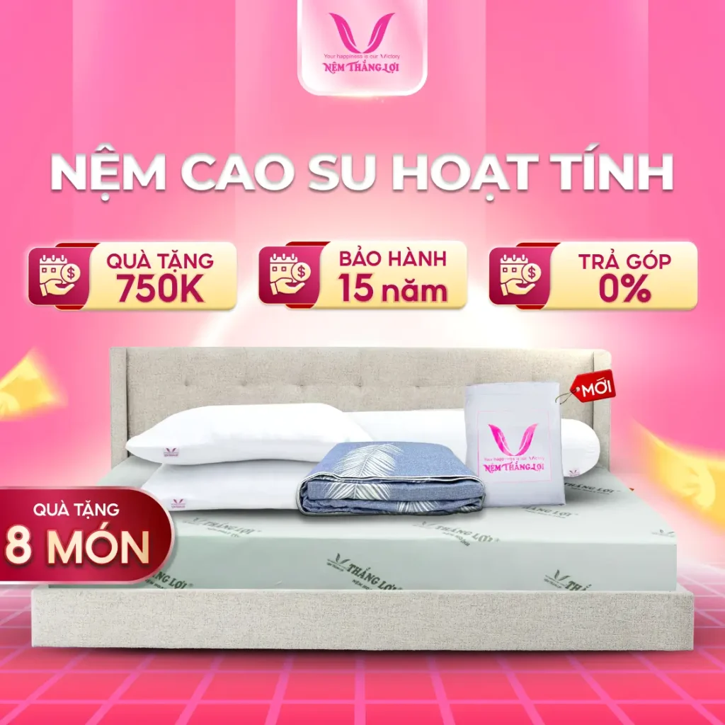 NỆM CAO SU HOẠT TÍNH THẮNG LỢI
