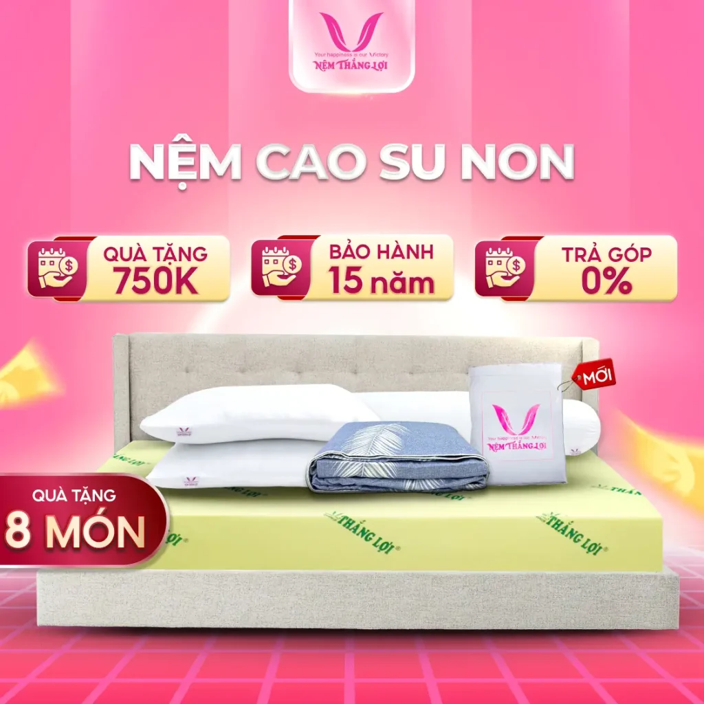 NỆM CAO SU NON THẮNG LỢI