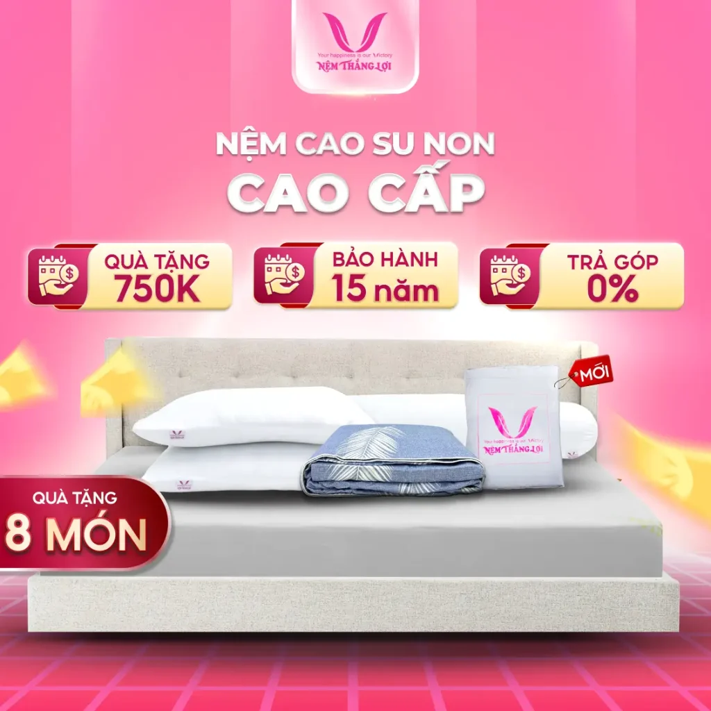 NỆM CAO SU NON CAO CẤP THẮNG LỢI