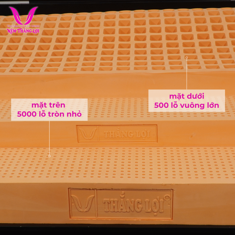 Nệm 100% cao su thiên nhiên SuSu thiết kế thoáng khí