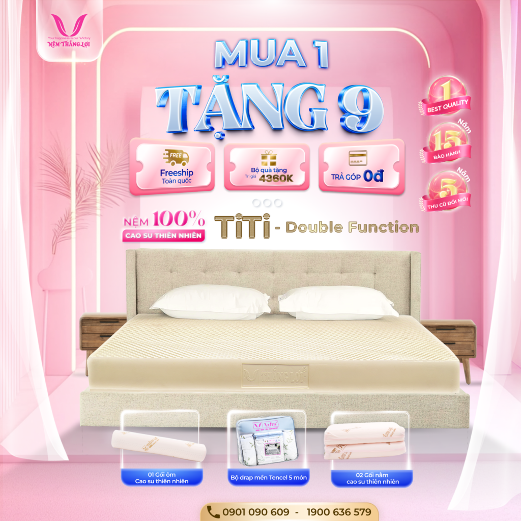 NỆM 100% CAO SU THIÊN NHIÊN THẮNG LỢI TITI - DOUBLE FUNCTION