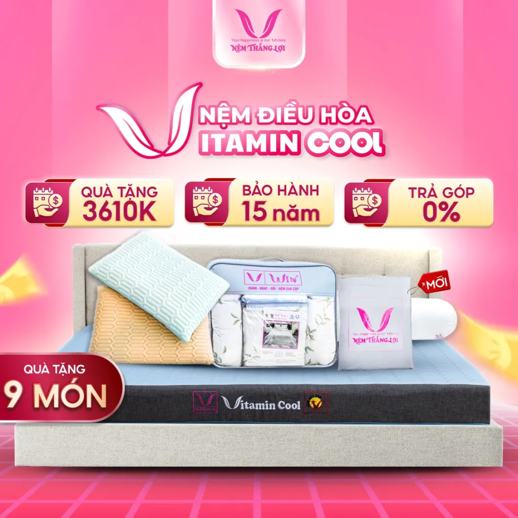 Nệm Điều Hòa Thắng Lợi Vitamin Cool