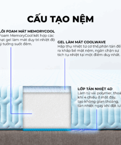 Cấu tạo Nệm Điều Hòa Thắng Lợi Vitamin Cool