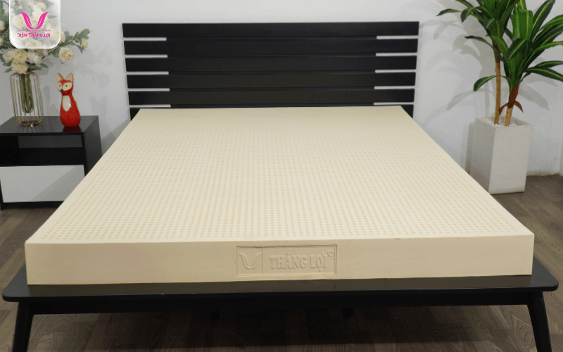 Nệm 100% Cao Su Thiên Nhiên Thắng Lợi dày 20cm
