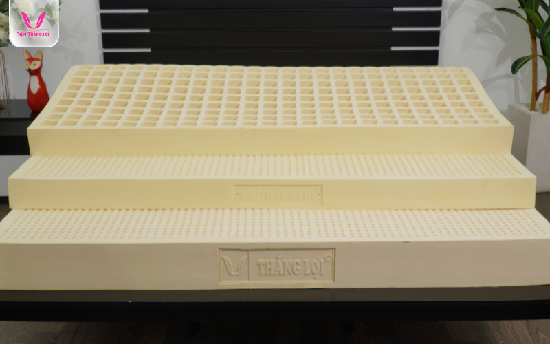 Nệm Thắng Lợi đa dạng độ dày nệm