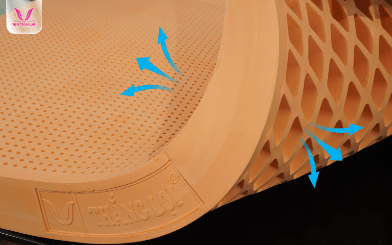 Nệm 100% Cao Su Thiên Nhiên Thắng Lợi thiết kế thoáng khí