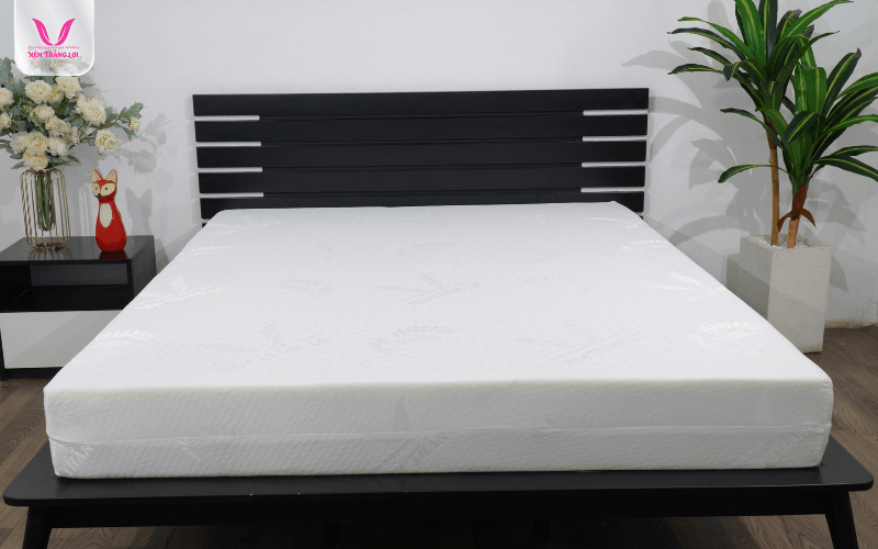 Nệm Cao Su Foam WonderFoam Thắng Lợi dày 20cm