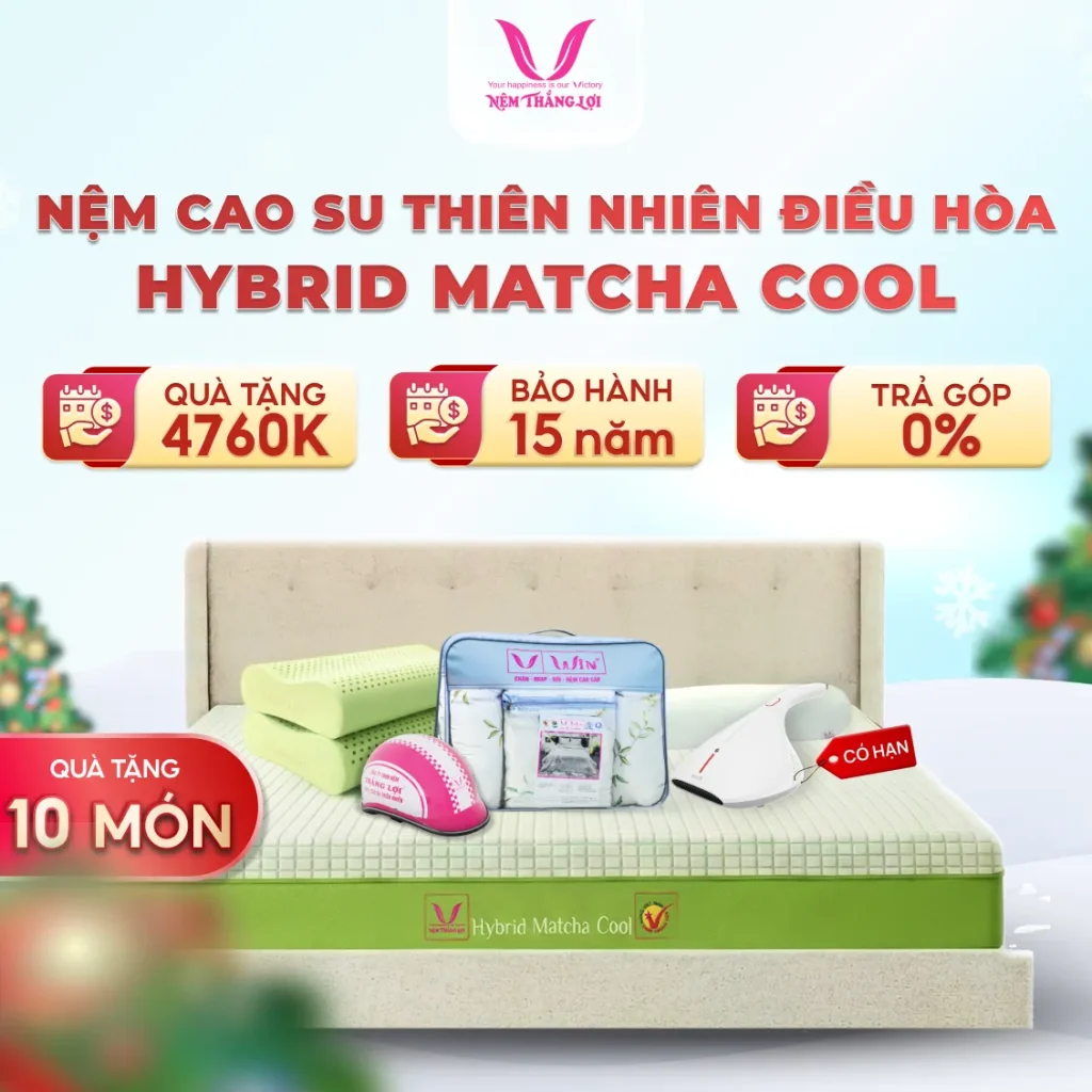Nệm Cao Su Thiên Nhiên Điều Hòa Hybrid Matcha Cool Thắng Lợi