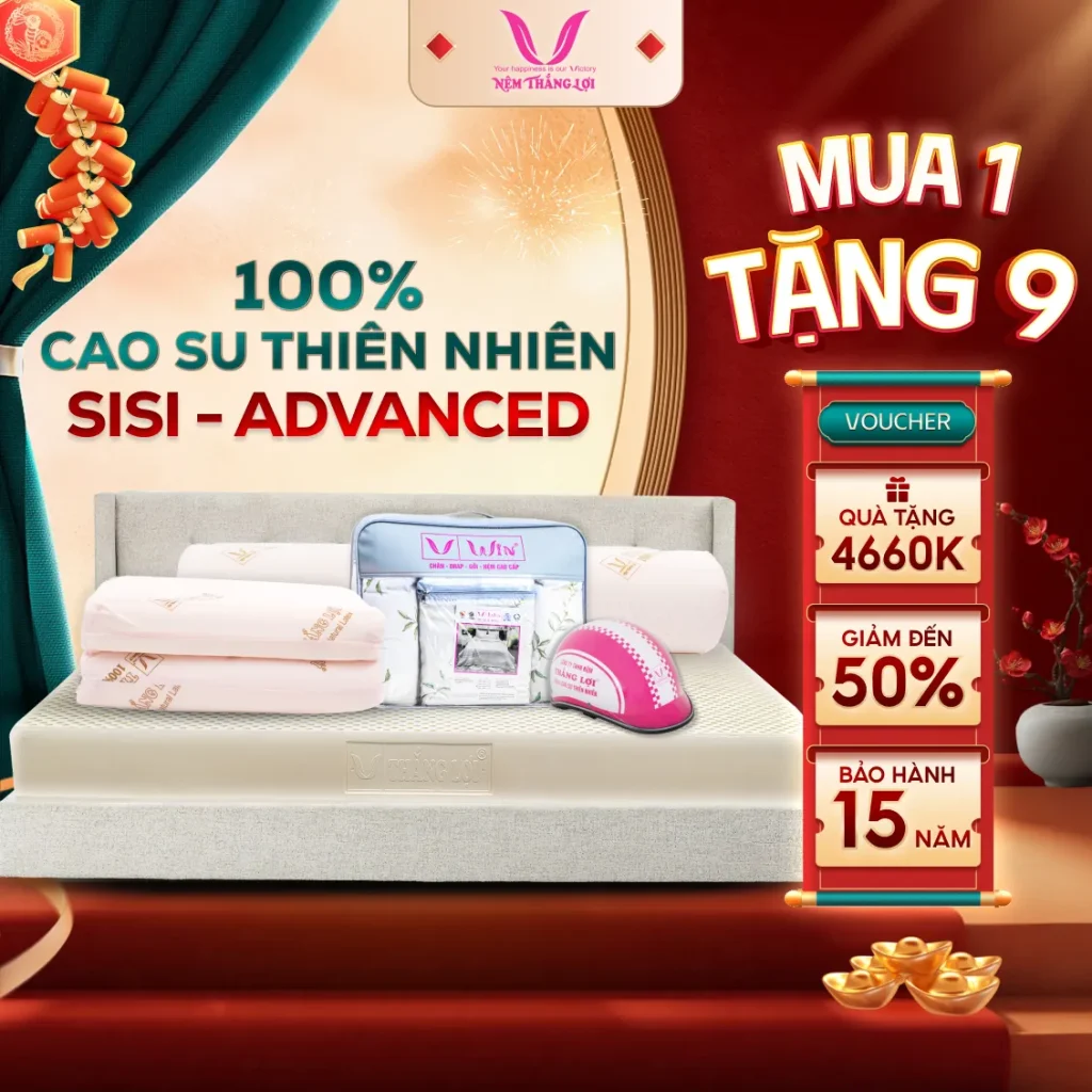 NỆM 100% Cao Su Thiên Nhiên Thắng Lợi SiSi - Advanced