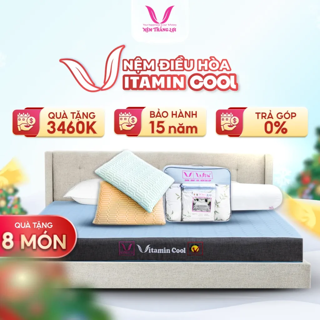 Nệm Điều Hòa Thắng Lợi Vitamin Cool