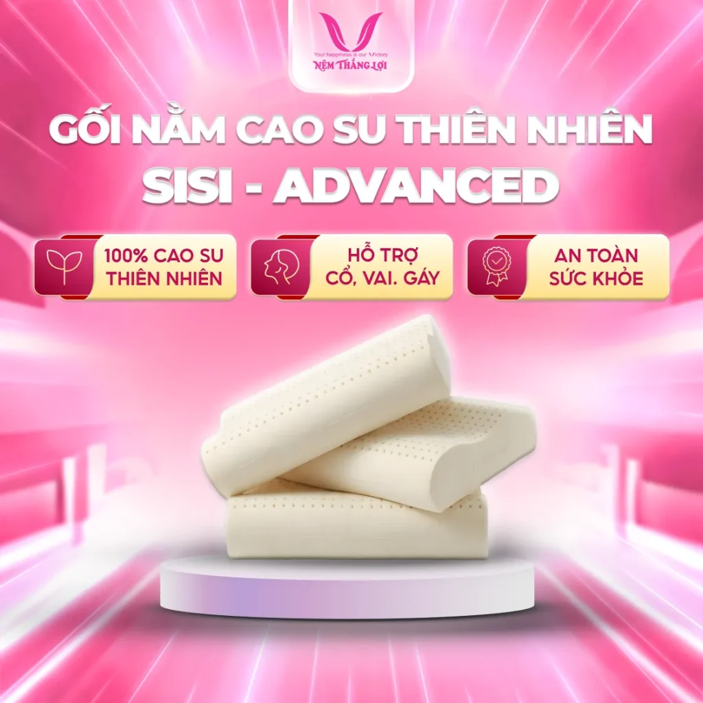 Gối Nằm 100% Cao Su Thiên Nhiên Thắng Lợi SiSi Advanced