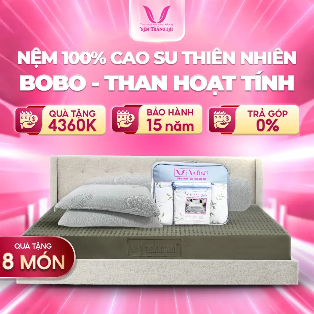 NỆM 100% Cao Su Thiên Nhiên Thắng Lợi BoBo - Than Hoạt Tính