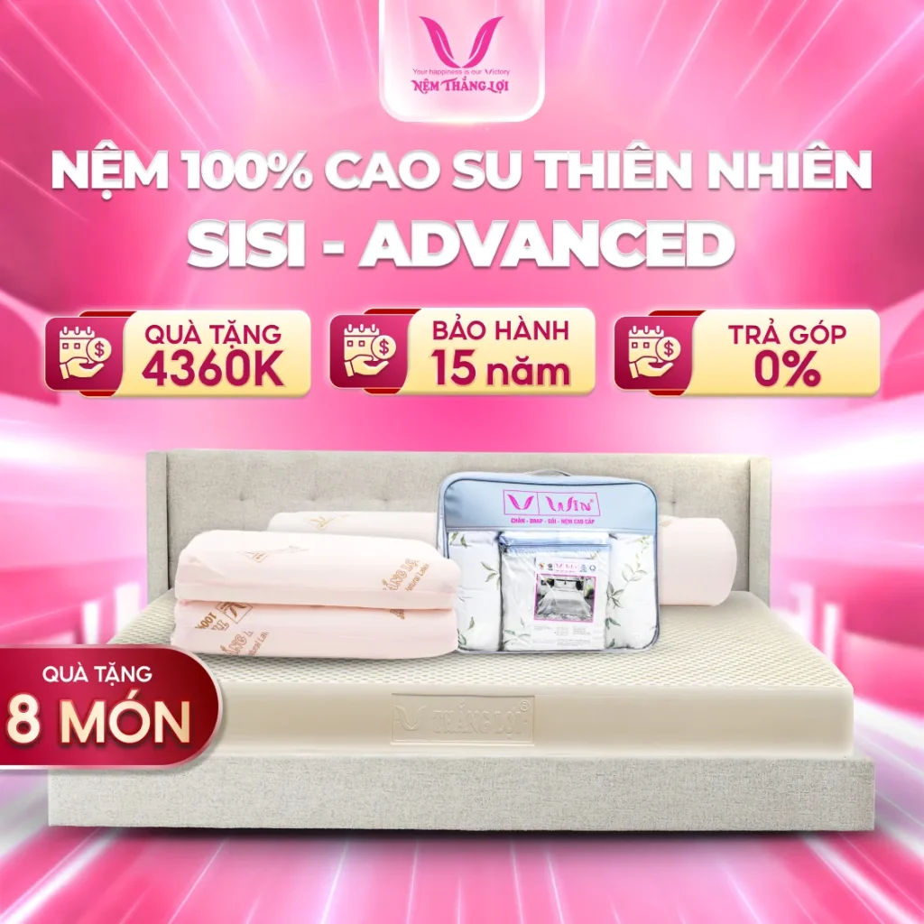 NỆM 100% Cao Su Thiên Nhiên Thắng Lợi SiSi - Advanced