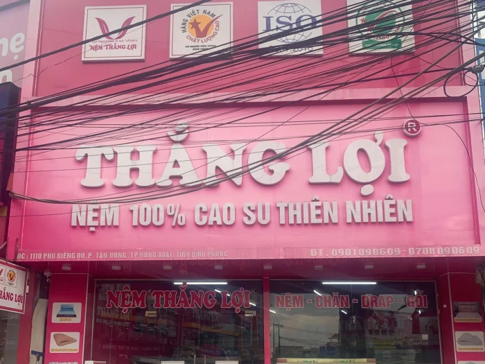 Cửa Hàng Nệm Thắng Lợi Bình Phước