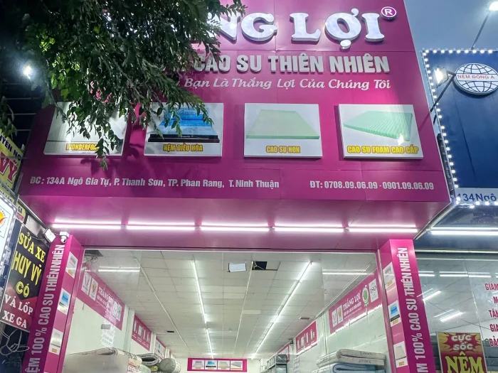 Cửa Hàng Nệm Thắng Lợi Ninh Thuận