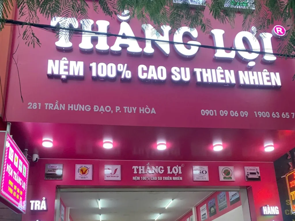 Cửa Hàng Nệm Thắng Lợi Phú Yên