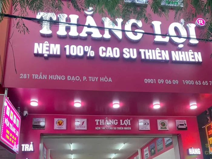 Cửa Hàng Nệm Thắng Lợi Phú Yên