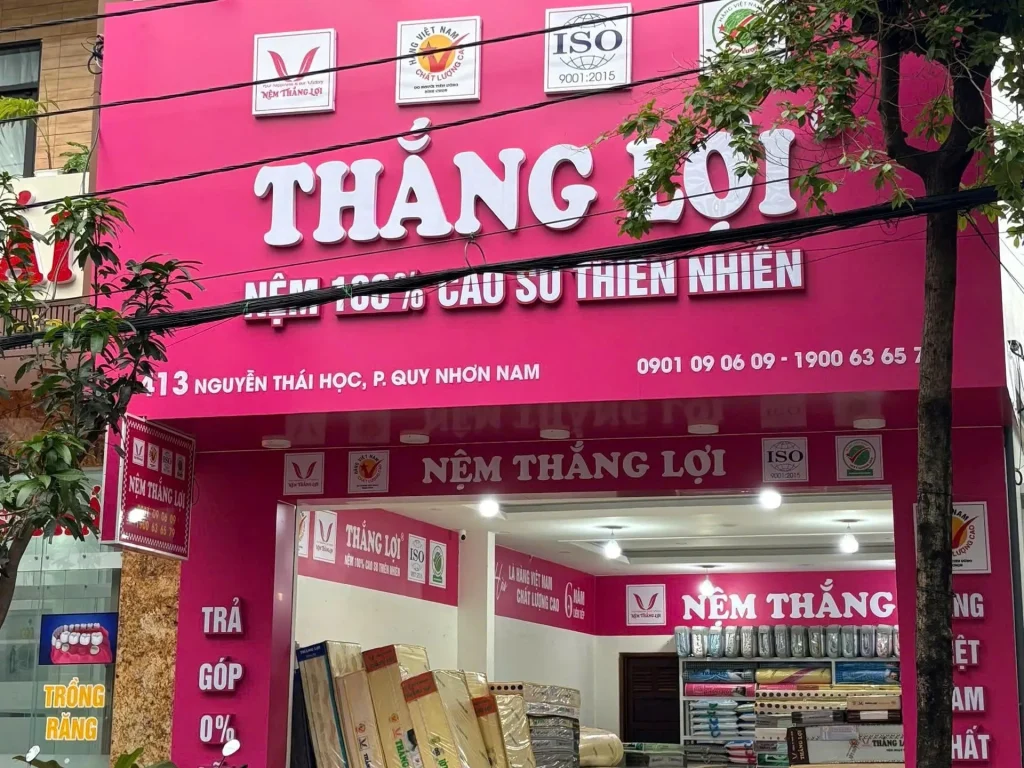 Cửa Hàng Nệm Thắng Lợi Bình Định