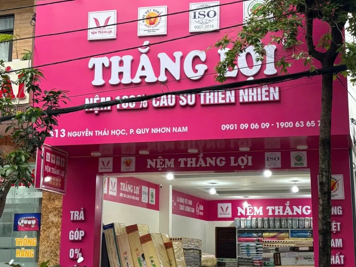 Cửa Hàng Nệm Thắng Lợi Bình Định