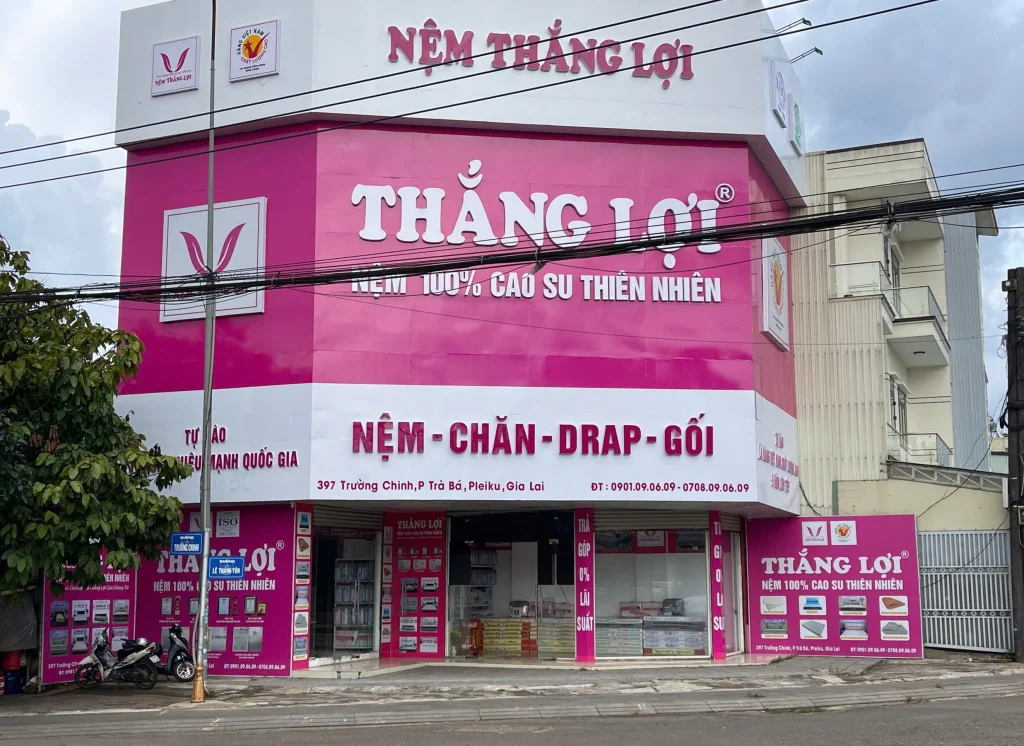 Cửa Hàng Nệm Thắng Lợi Gia Lai (Trường Chinh)