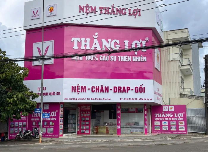 Cửa Hàng Nệm Thắng Lợi Gia Lai (Trường Chinh)