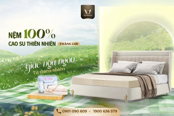 Nệm Cao Su Thiên Nhiên dòng cao cấp đáng đầu tư