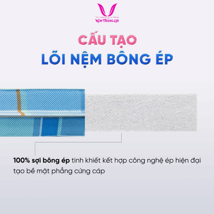 lõi nệm bông ép