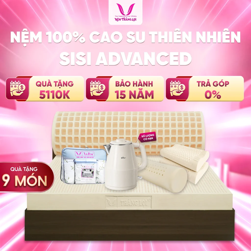NỆM 100% Cao Su Thiên Nhiên Thắng Lợi SiSi - Advanced